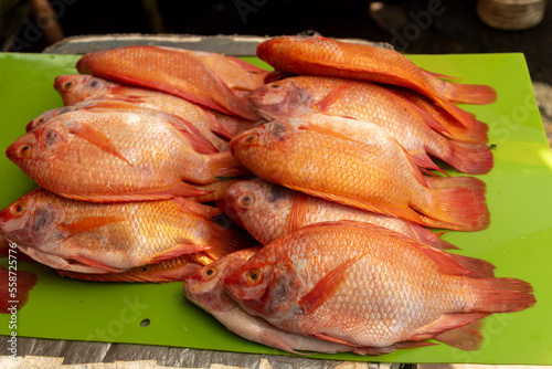 Red river fish organized for sale in a market on the banks of the Magdalena river. Colombia.