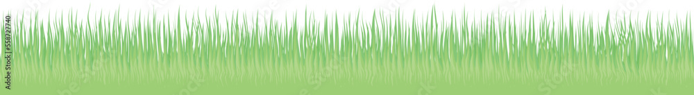 vector illustration of green grass