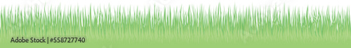 vector illustration of green grass