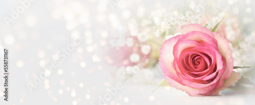 Beautiful bouquet of flowers with rose and bokeh lights - mother's day, birthday, wedding - greeting card with copy space 