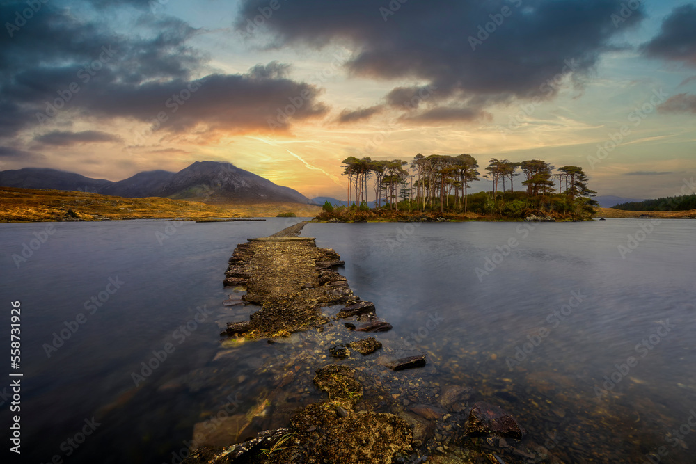 Fototapeta premium Pines Island, Connemara, a region in the west of Connacht in western Ireland.