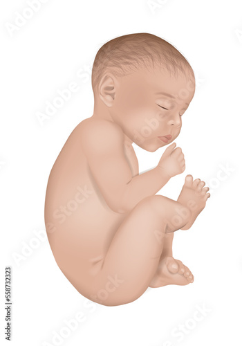 Realistic vector illustration of a newborn little baby in white background. Sleeping baby