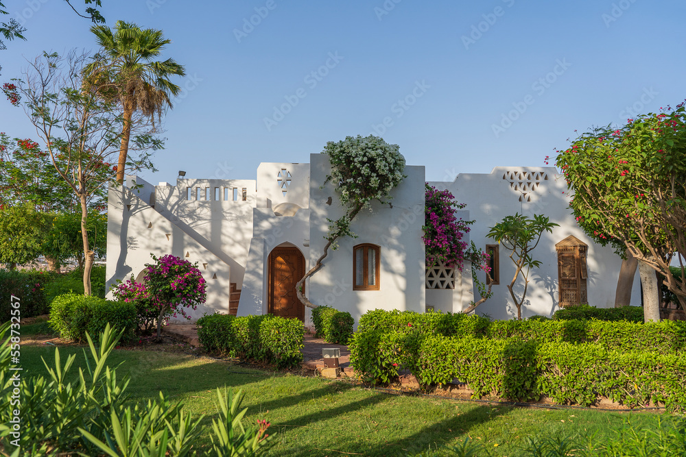 White wall house and flower tree on street of Egypt in Sharm El Sheikh