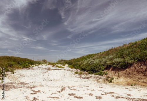 Bottom view of the sand and a hill with green grass. Summer landscape. brown tint