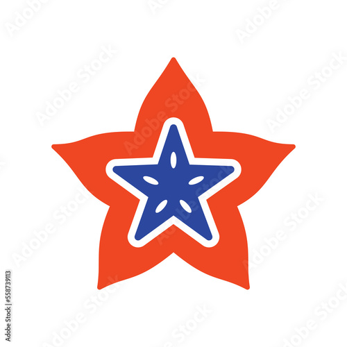 Carom, Carambola, Starfruit vector glyph icon