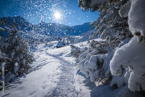Fototapeta Naklejka Na Ścianę i Meble -  Widok na Halę Gąsienicową, Tatry Polskie