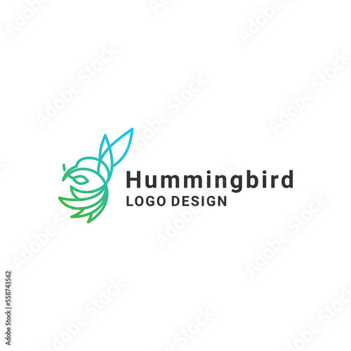 colorful humming bird with lineart style for your brand identity, company or business