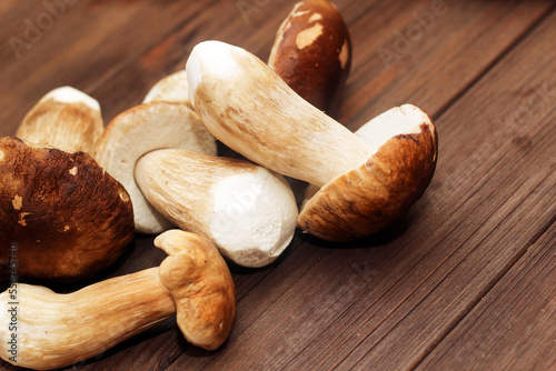 Boletus edulis on a table made of brown boards preparation for eating.