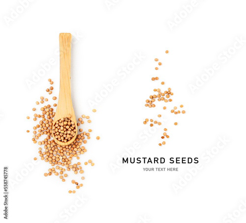 Obraz na płótnie Yellow mustard seeds in wooden spoon isolated on white.
