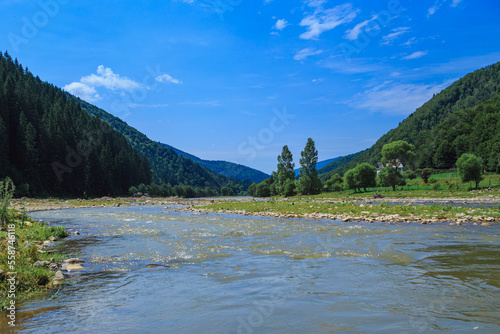 The riverbed of a mountain river with rocky banks. River in a rural mountain area on a sunny day, mountain slopes covered with trees. Sharpness in the center 