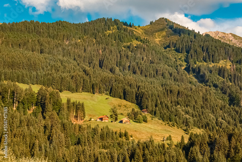 Beautiful alpine summer view at the famous Kleinwalsertal valley  Hirschegg  Vorarlberg  Austria