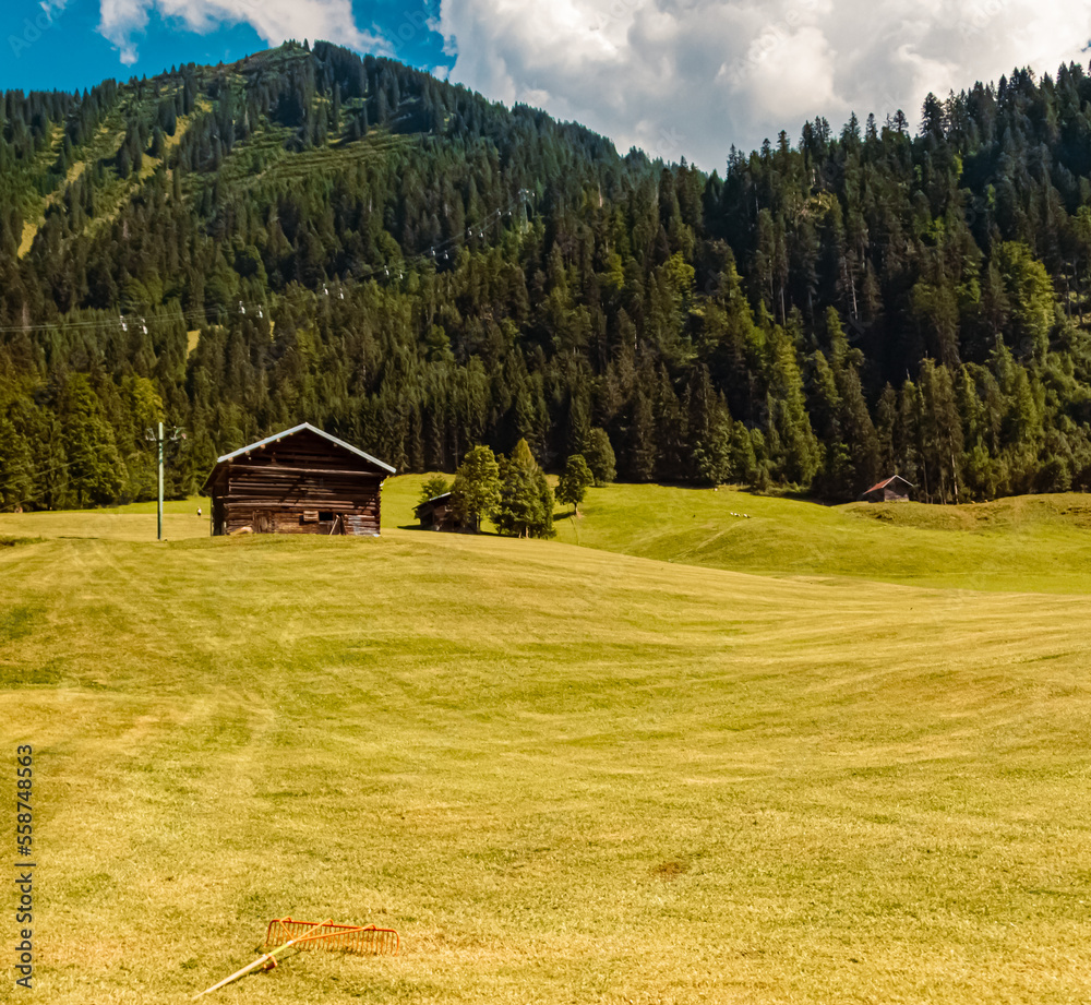 Beautiful alpine summer view at the famous Hoher Ifen summit, Kleinwalsertal valley, Riezlern, Vorarlberg, Austria