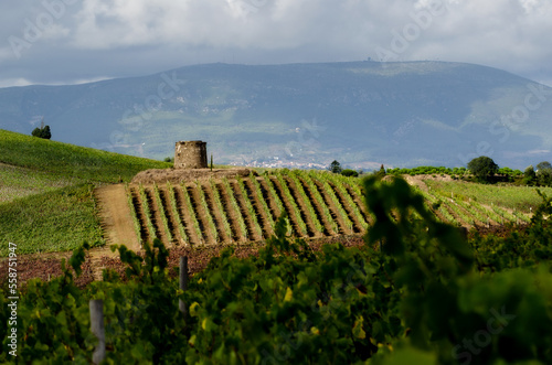 An old mill, stands atop of a vineyard with the Montejunto valley in the background. Pereiro de Palhacana - Portugal photo