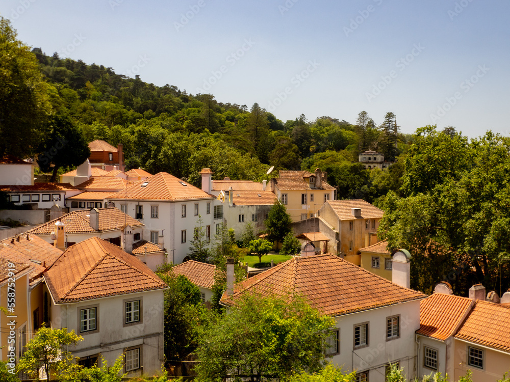 Sintra rooftops with the forest behind