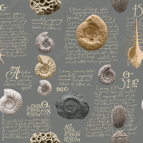 vector seamless pattern background with photo of ancient ammonite shells and trilobites and text loreum ipsum imitating paleontological catalog or encyclopedia. Suitable for wallpaper design