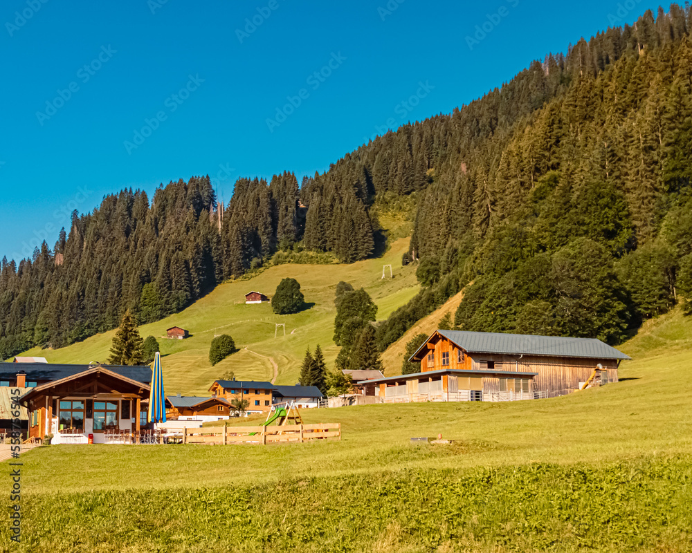 Obraz premium Beautiful alpine summer view at the famous Kleinwalsertal valley, Mittelberg, Vorarlberg, Austria