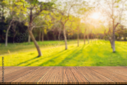 table background and spring time on a natural blurred background