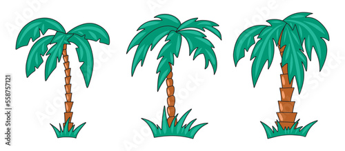 Vector graphics of different shapes of palm tree colored with a stroke outline on a white background © Ekaterina Anisimova