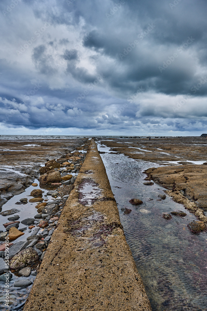 Fototapeta premium To The Ocean