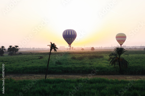 Hot air balloons over the valley of kings and the river nile in Luxor, Egypt during sunrise