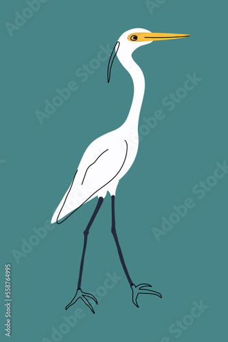 White heron vector illustration. Great egret, ardea alba, common egret bird. Wetland animal.
