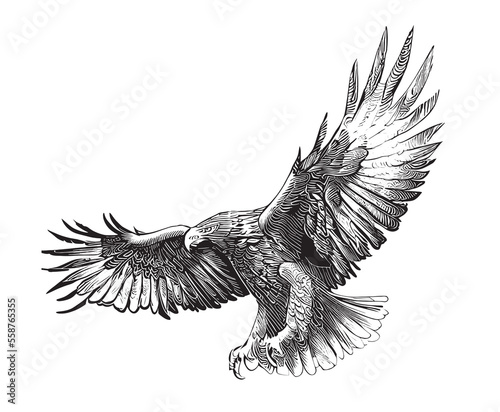 Eagle with spread wings sketch, hand drawn in doodle style Vector illustration
