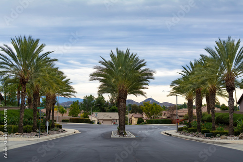 Beautiful road lined with palm trees with the background of cloudy sky, Oasis Community, Menifee, California, USA