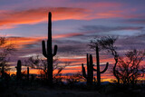 Desert Sunset in Saguaro National Park