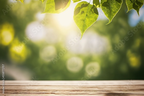 Showcase of branches with green birch leaves in the sunlight . Wooden table as a podium for the presentation of goods with a spring landscape. 
