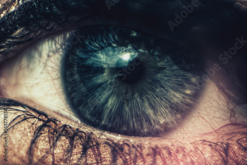 eye, iris, eyeball, pupil, human, woman, vision, macro, closeup, look, see, face, eyes, illustration, sight, view, circle, looking, optical, design, people, blue, eyelash, cornea, beauty