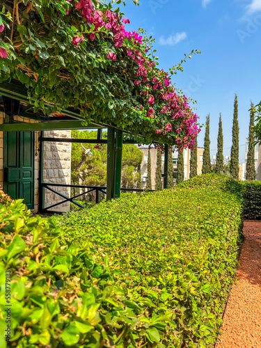 Green bushes near house wit...