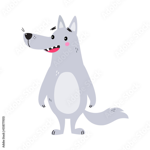 Grey Wolf Character with Pointed Muzzle Standing and Smiling Vector Illustration