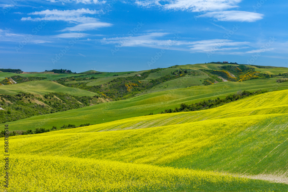 Fototapeta premium Tuscany. Landscape view, hills and meadow, Italy