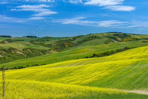 Tuscany. Landscape view, hills and meadow, Italy