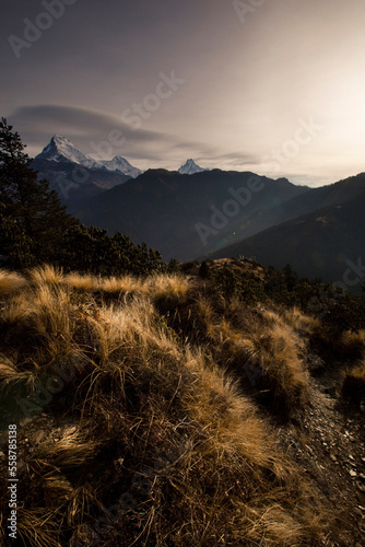 Scrub, high alpine grass and a mountain range in Nepal. photo