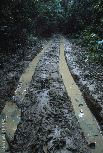 A road in the amazon rain forest near Santarem, Brazil. photo