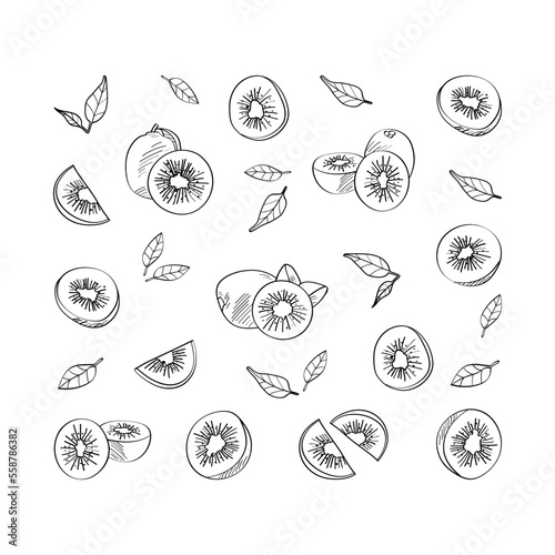 Exotic kiwi fruit. Vector pattern in a hand-drawn style.