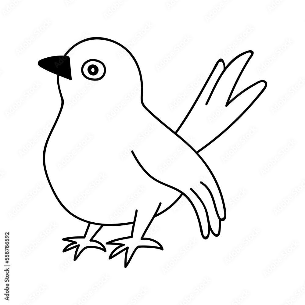 Obraz premium Single hand drawn bird. Vector illustration in doodle style. Isolate on a white background.