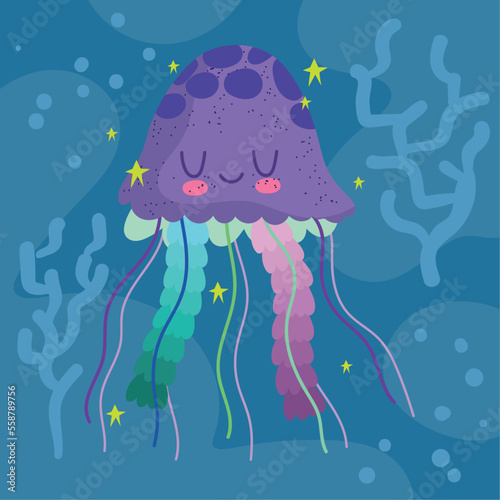 jellyfish sea life
