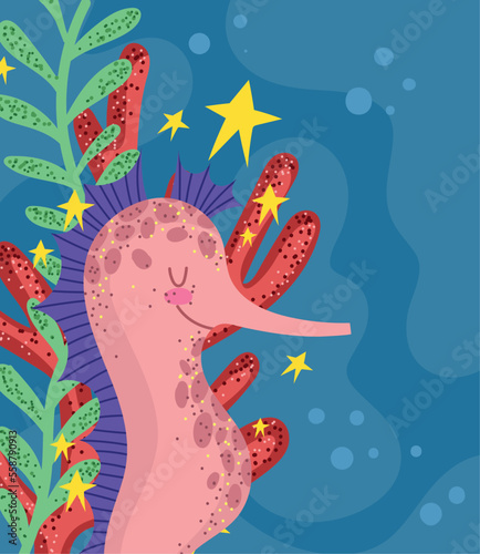 seahorse reef sea life