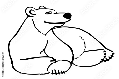 Fototapeta Naklejka Na Ścianę i Meble -  polar bear sketch vector black and white image for coloring