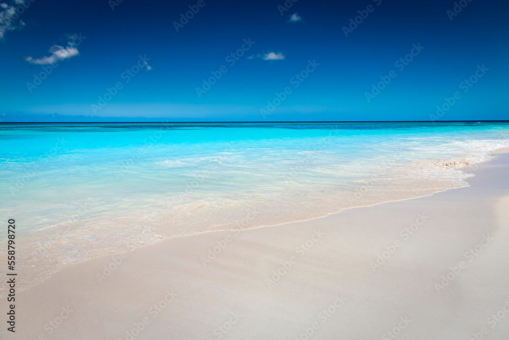 Obraz premium Tropical paradise, sand beach in caribbean Saona Island, Punta Cana, Dominican