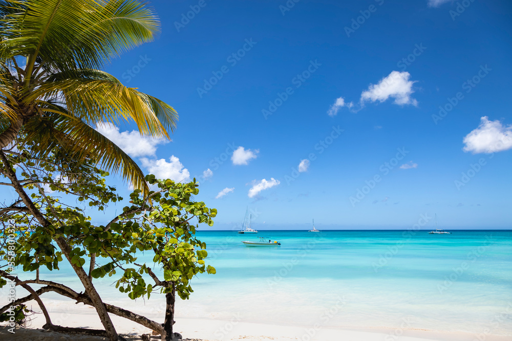 Tropical paradise, sand beach in caribbean Saona Island, Punta Cana, Dominican Tropical paradise, sand beach in caribbean Saona Island, Punta Cana, Dominican