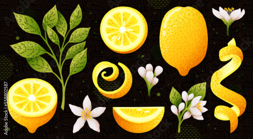Yellow lemonade, lemon pieces, ripe. Sour diet limon food, vegetarian. Vector cartoon illustration 