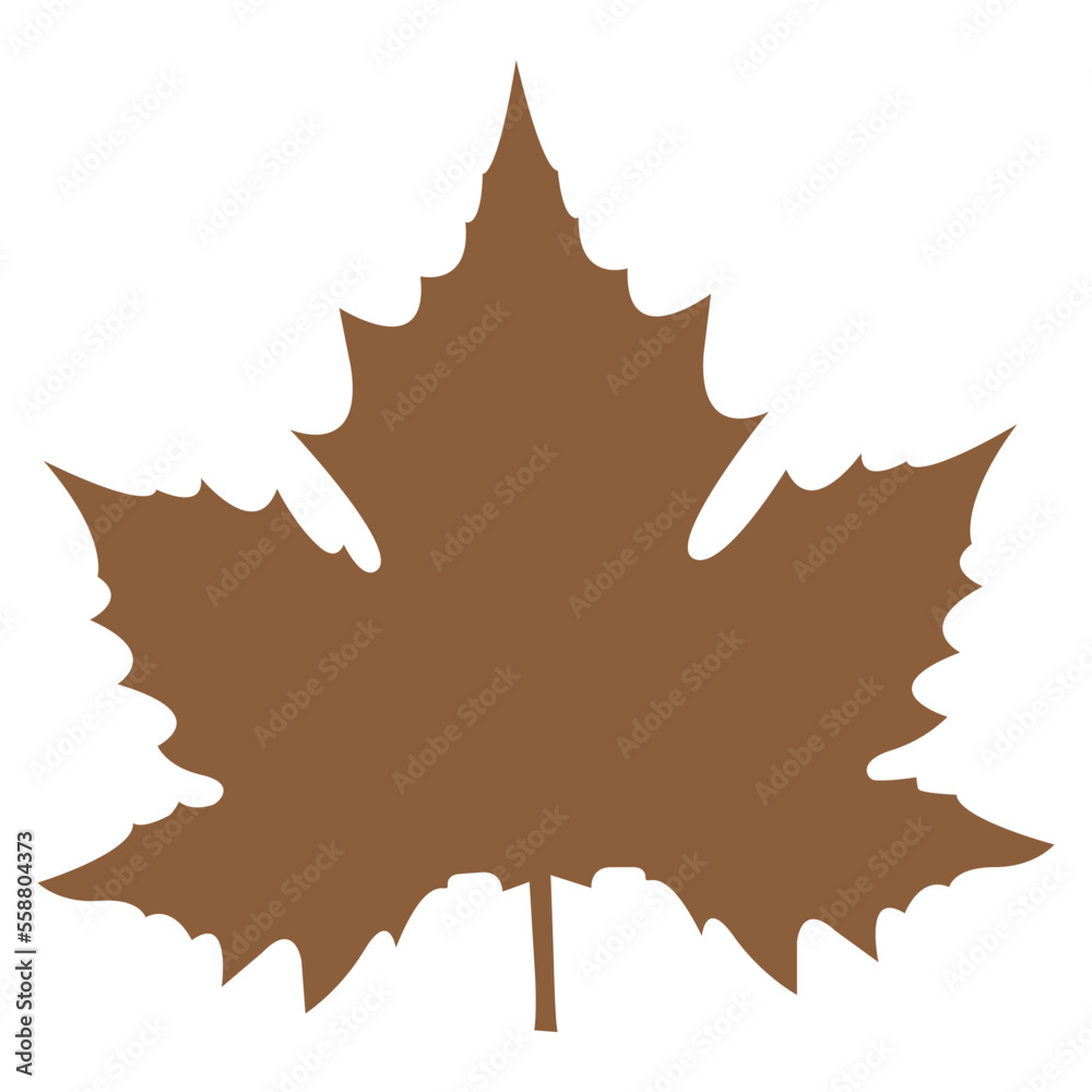 maple leaf on a white background maple leaf on a white background