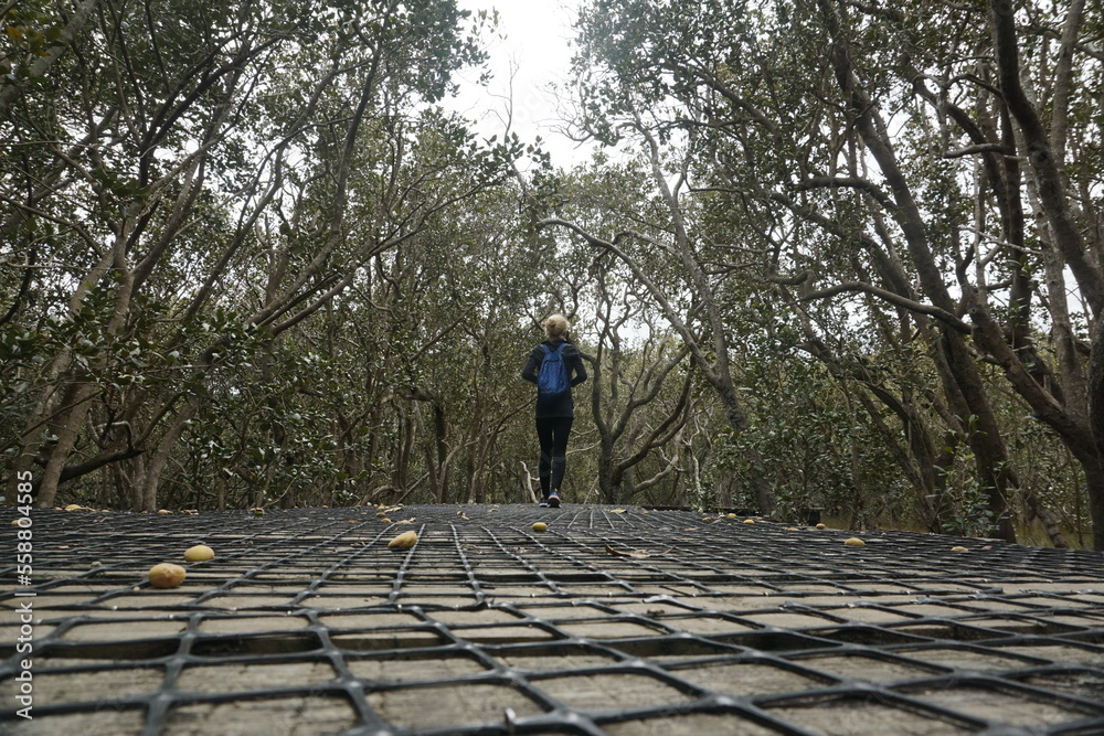 A woman walking above the mangrove forest around Hatea Loop in Whangarei, New Zealand. A woman walking above the mangrove forest around Hatea Loop in Whangarei, New Zealand.