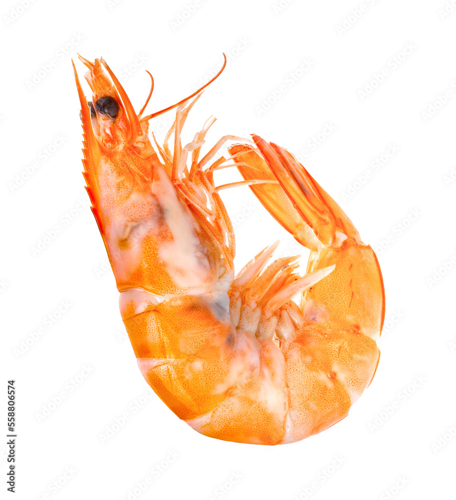 Cooked shrimps isolated on transparent png Cooked shrimps isolated on transparent png