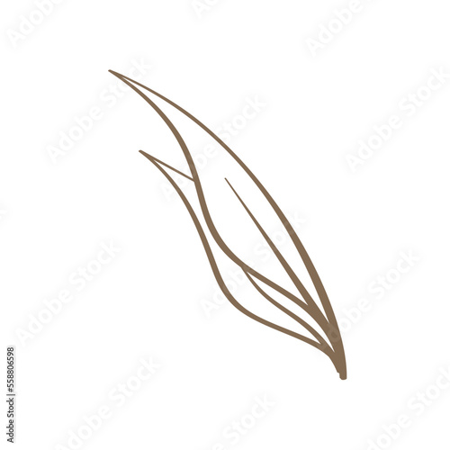 Floral botanical abstract leaf and branches line art doodle. Outline design elements isolated on background, vector illustration