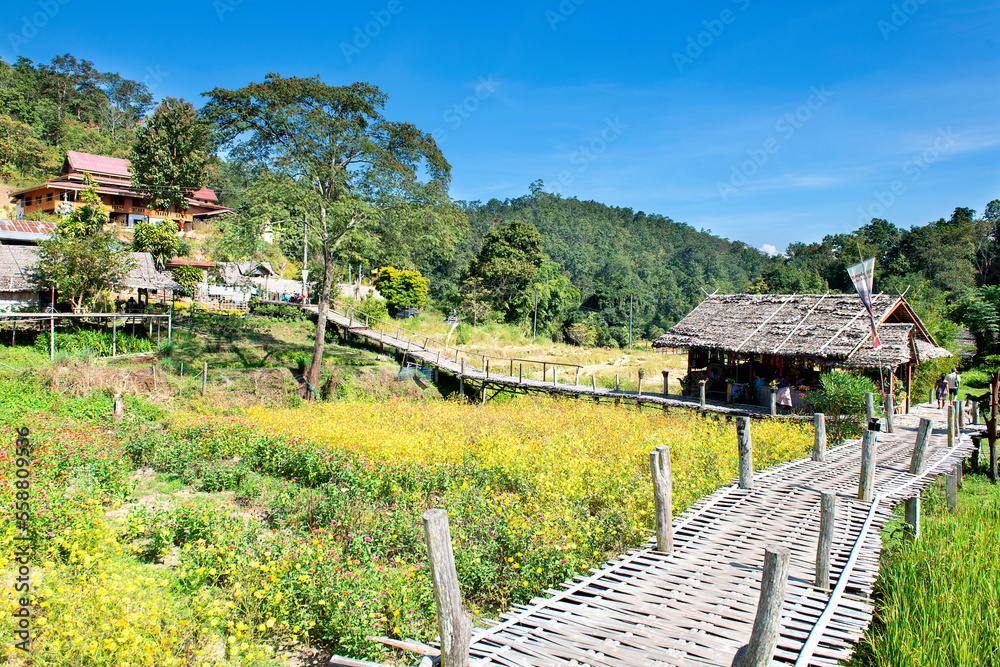 Bamboo bridge in flower garden near Mae Hong Son, North Thailand Bamboo bridge in flower garden near Mae Hong Son, North Thailand