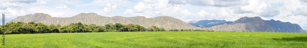 Naklejka premium landscape with grass and blue sky